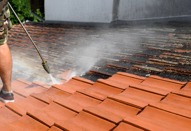 Best Residential Pressure Washing Services  in Mililani Town, HI